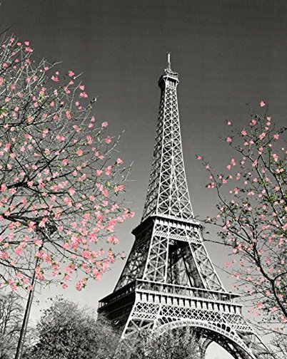 Black and white photo of the Eiffel Tower in Paris for a vintage baby girl Paris themed nursery room wall