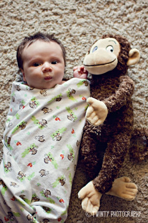 Newborn baby boy monkey theme photo shoot ideas