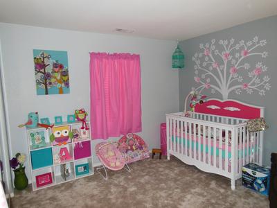 Owls and birds and girly things in my baby girl's nursery, Oh MY!